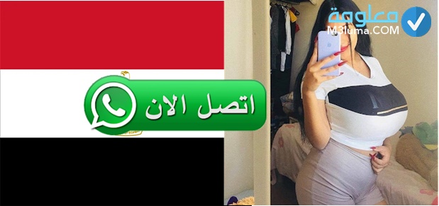 ارقام بنات مصر 