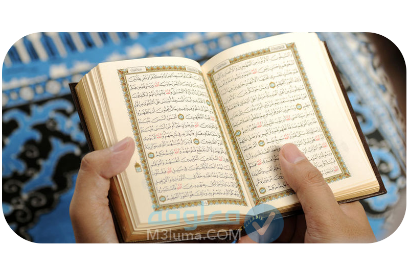 أجمل كلمات لحافظ القرآن